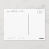 Young Teddy Bear Cholla Cactus, Arizona Briefkaart (Achterkant)