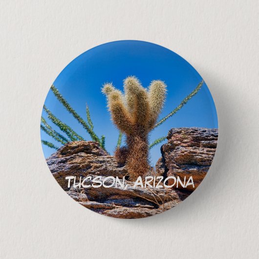 Young Teddy Bear Cholla Cactus, Tucson Ronde Button 5,7 Cm (Voorkant)
