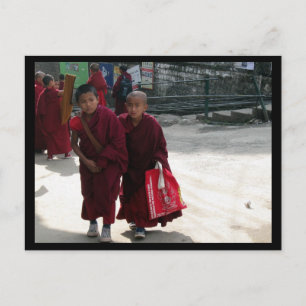 Young Tibetan Buddhist Monks, Dharamsala, India Briefkaart