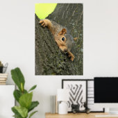 Young Tree Squirrel Resting Poster (Thuiskantoor)