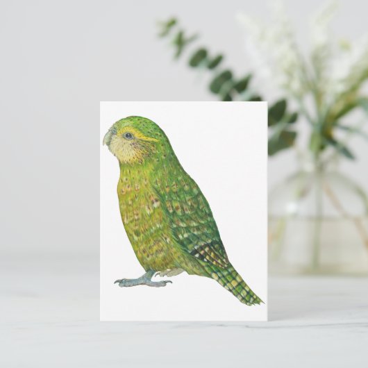 Young Vrouw Kakapo Briefkaart (Staand voorkant)