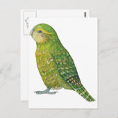 Young Vrouw Kakapo Briefkaart (Voorkant / Achterkant)