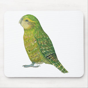 Young Vrouw Kakapo Muismat