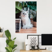 Young White Persian Cat Sitting with Plant Poster (Thuiskantoor)