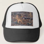 Young Whitetail Deer Series Trucker Pet (Voorkant)