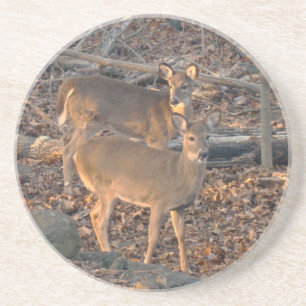 Young Whitetail Deer Series Zandsteen Onderzetter