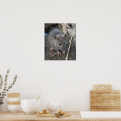 Young Wild Rat Print (Keuken)