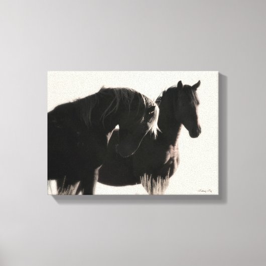 Young Wild Stallions Canvas Afdruk (Voorkant)