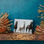 Young Wild Stallions Fotoplaat (Zijkant)