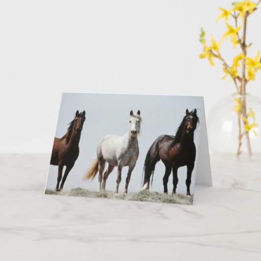 Young Wild Stallions Kaart (Gele Bloem)