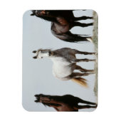 Young Wild Stallions Magneet (Verticaal)