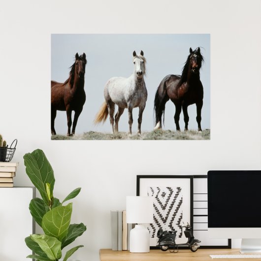 Young Wild Stallions Poster (Thuiskantoor)