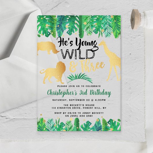 Young Wild & Three Boys Derde Verjaardag Acryl Uitnodigingen