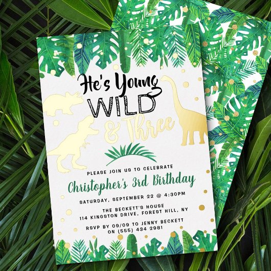 Young Wild & Three Dinosaur Boys 3e verjaardag Ech Folie Uitnodiging