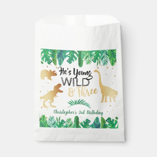 Young Wild & Three Dinosaur Boys Third Birthday Bedankzakje (Voorkant)