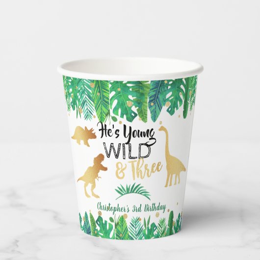 Young Wild & Three Dinosaur Boys Third Birthday Papieren Bekers (Achterkant)
