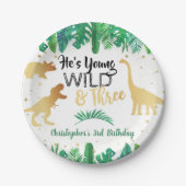 Young Wild & Three Dinosaur Boys Third Birthday Papieren Bordje (Voorkant)