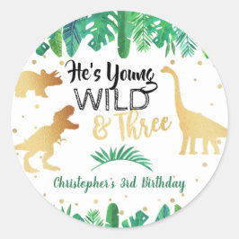 Young Wild & Three Dinosaur Boys Third Birthday Ronde Sticker