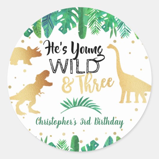 Young Wild & Three Dinosaur Boys Third Birthday Ronde Sticker (Voorkant)
