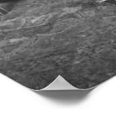 Young Woman, Cat & Dolls, jaren '20 Poster (Hoek)