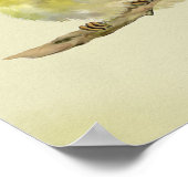 Young Wood Warbler Poster (Hoek)