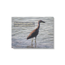 Young Yellow Crowned Heron Inspirerend Quote
