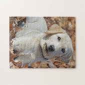 Young Yellow Labrador Retriever Puppy Legpuzzel (Horizontaal)