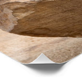 Young zee lion perfect poster (Hoek)