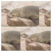 Young zee lion stof (Close Up)