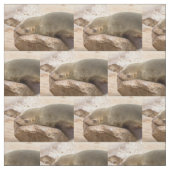 Young zee lion stof (Swatch)