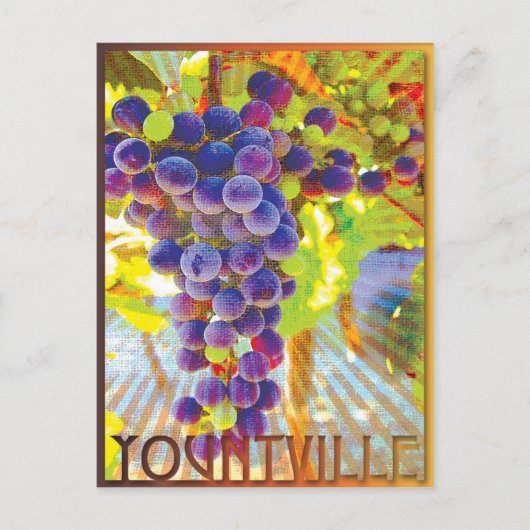 Yountville California Grape Cluster Briefkaart (Voorkant)
