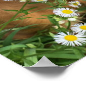 Your Dog Image Here Poster (Hoek)