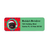 Your Dog Photo-Add Our Santa Hat-Holiday Green Red Etiket (Voorkant)