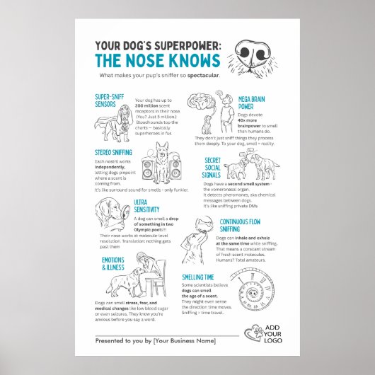 Your Dog’s Superpower - The nose knows  Poster (Voorkant)