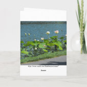 Your Message ~ 26 Bedankkaart (Achterkant)