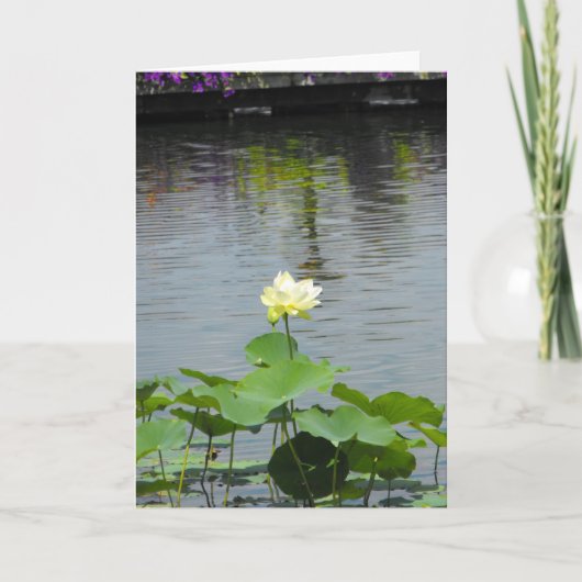 Your Message ~ 26 Bedankkaart (Voorkant)