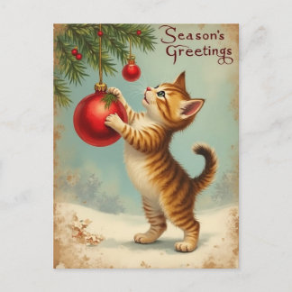 Your Own Text Season’s Greetings Kitten Postcard Feestdagenkaart