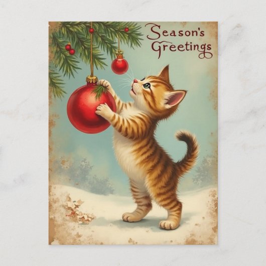 Your Own Text Season’s Greetings Kitten Postcard Feestdagenkaart (Voorkant)