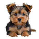 Your Pet Dog Photo Sculpture Cutout  Staand Fotobeeldje<br><div class="desc">Create your own photo sculpture cutout! Simply (1) upload your own photo or artwork,  (2) click on Edit this design button (3) on the top right of the screen,  click on "remove background". Choose your finished size when ordering. Comes with a black stand.</div>