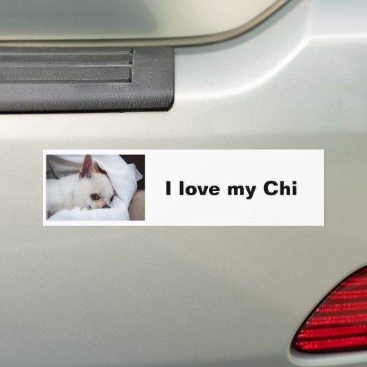 Your pet dog puppy custom photo chihuahua bumpersticker (Op auto)