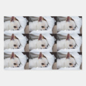 Your pet dog puppy custom photo chihuahua pattern inpakpapier vel (Voorkant 3)