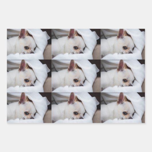 Your pet dog puppy custom photo chihuahua pattern inpakpapier vel (Voorkant 3)