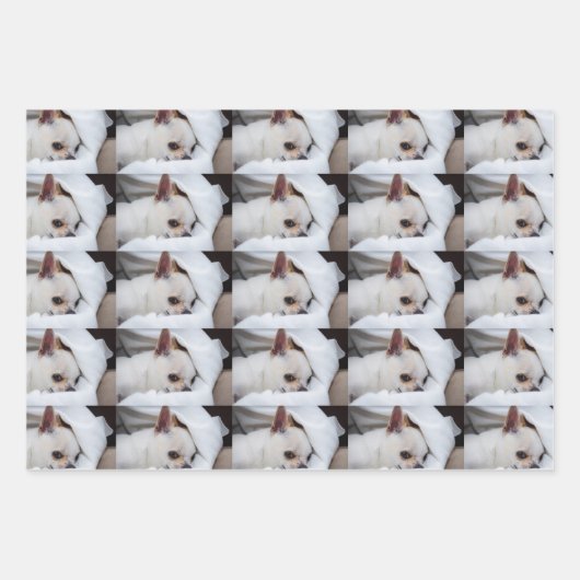 Your pet dog puppy custom photo chihuahua pattern inpakpapier vel (Voorkant 2)
