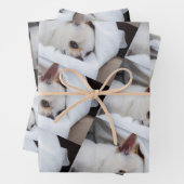 Your pet dog puppy custom photo chihuahua pattern inpakpapier vel (In situ)