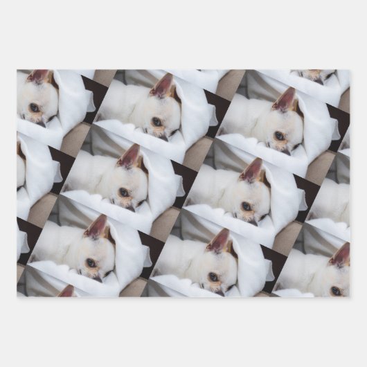 Your pet dog puppy custom photo chihuahua pattern inpakpapier vel (Voorkant)
