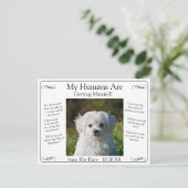 Your Pet Photo Save The Date Black White Infinity Briefkaart (Staand voorkant)