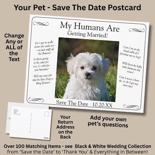 Your Pet Photo Save The Date Black White Infinity Briefkaart