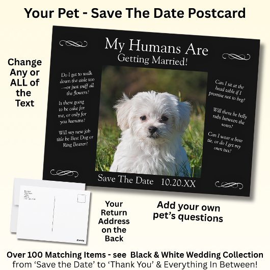 Your Pet Photo Save The Date Black White Infinity Briefkaart
