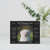 Your Pet Photo Save The Date Black White Infinity Briefkaart (Staand voorkant)