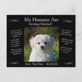 Your Pet Photo Save The Date Black White Infinity Briefkaart (Voorkant)